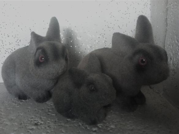 3 fuzzy toy rabbits